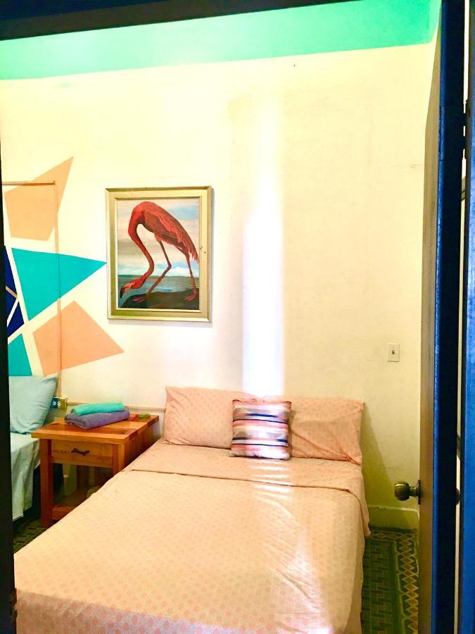 Medusa'S Hostel Aguadilla Dış mekan fotoğraf